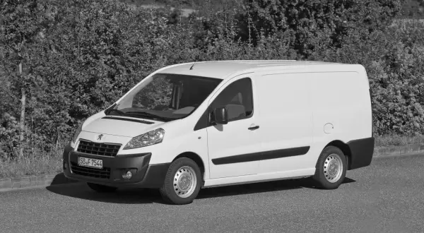 Biały Peugeot Expert na tle zieleni. Poznaj jego praktyczne peugeot expert wymiary, idealne do transportu.