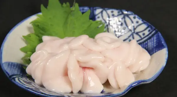 Delicato lattume di tonno servito su un piatto decorato con un rametto verde.