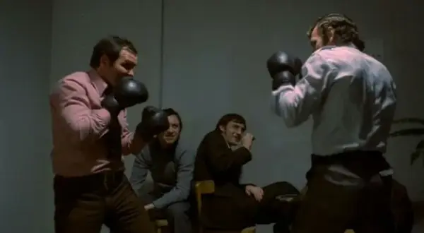 Najlepsze cytaty z filmu przepraszam czy tu biją i ich znaczenie
