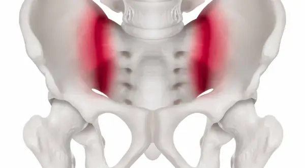 Skelettet visar bäckenet med markerad smärta i ligamenten, vanligt vid graviditet.