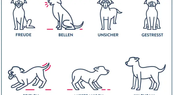 Illustrationen zeigen verschiedene Hund Verhaltensweisen: Freude, Bellen, Unsicherheit, Stress, Spielen, Misstrauen und Wachsamkeit.
