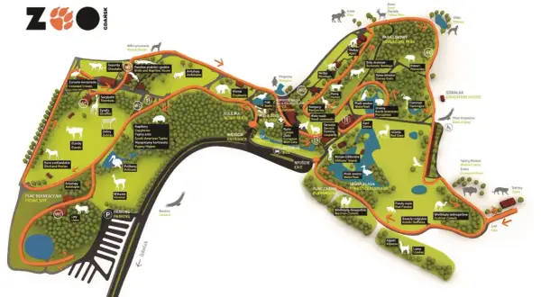 Mapa zoo w Gdańsku z zaznaczonymi zwierzętami: lwy, tygrysy, wielbłądy, pandy, żyrafy, zebry, słonie, ptaki wodne, małpy i inne.