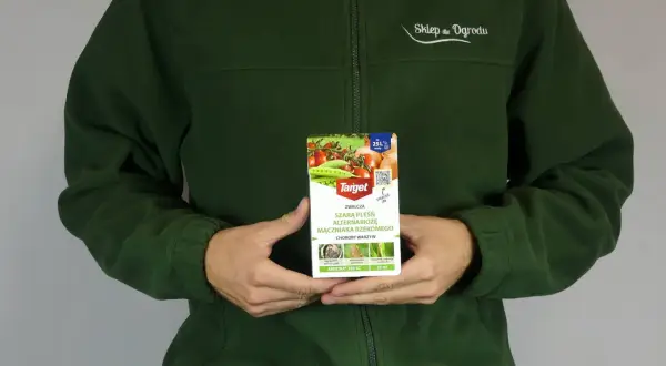 Amistar 250 SC dawkowanie na trawnik? Ten środek zwalcza szarą pleśń i alternariozę.