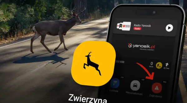 Jak ustawić Yanosika w tle? Aplikacja ostrzega przed zwierzętami na drodze. Ikona ostrzeżenia "Zagrożenie" jest widoczna.