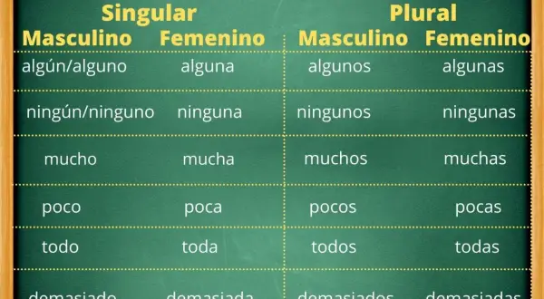Tabla de tipos de determinantes indefinidos en español, mostrando singular y plural, masculino y femenino: algún, ninguno, mucho, poco, todo, demasiado.