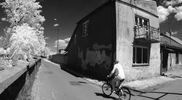 Osoba na rowerze jedzie ulicą. Białe drzewa i budynki kontrastują z ciemnym niebem. Niezwykła fotografia w podczerwieni.