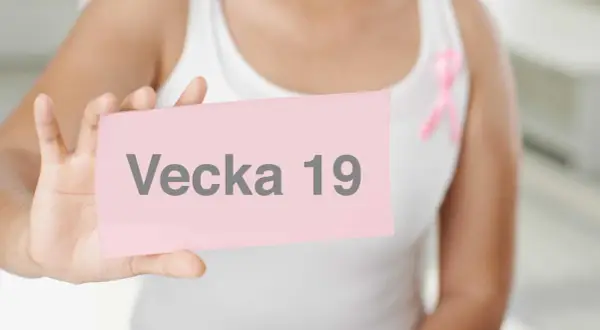 En person håller upp en rosa lapp med texten "Vecka 19". En rosa banderoll syns på kläderna.