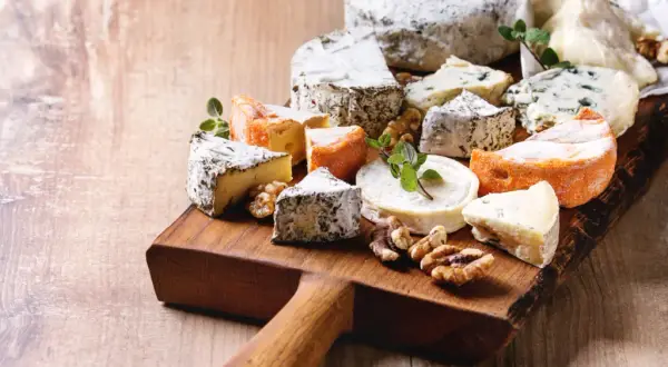 Czy pies może jeść ser? Dowiedz się, jakie sery są bezpieczne dla psa