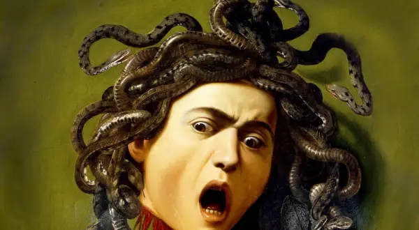 A severed head of Medusa in art, her face contorted in a scream, with writhing snakes for hair. Blood drips from her neck.
