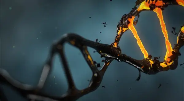 Czy po kremacji można ustalić DNA? Oto trudne wyzwania i możliwości