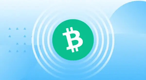 Jak kupić Bitcoin Cash - proste kroki, aby uniknąć błędów i strat