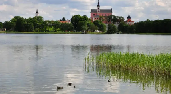 Malownicze jezioro z kaczkami i zabytkowymi budynkami w tle. Idealne miejsce na romantyczny wypad, odkryj suwałki atrakcje dla dwojga.