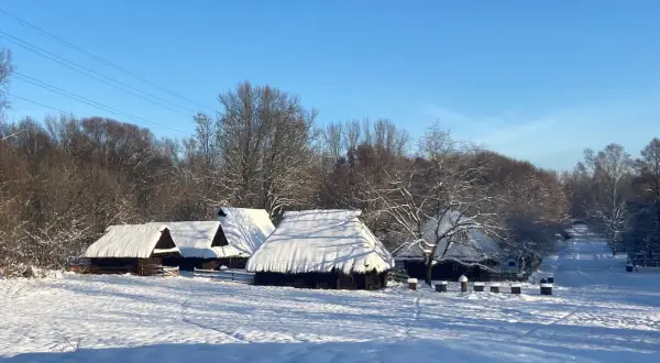 Skansen Park Śląski: Godziny, bilety, atrakcje. Czy warto zimą?