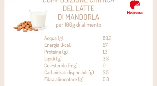 Composizione chimica del latte di mandorla: acqua, energia, proteine, lipidi, colesterolo, carboidrati, fibra. Informazioni utili per chi valuta il latte di mandorla controindicazioni.
