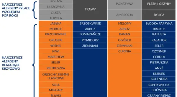Tabela pokazuje, że uczulenie na czeresnie może być związane z alergią krzyżową na inne owoce i warzywa.