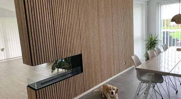 Vacker vägg med akustikpanel inspiration, en modern eldstad och en hund som vilar vid matbordet.