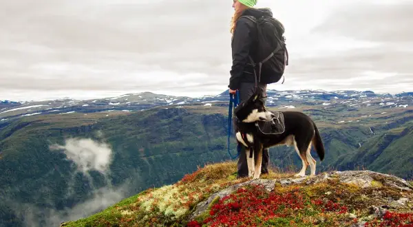 Mujer con mochila y perro con alforjas en un paisaje montañoso, disfrutando de su camino de Santiago con perros.