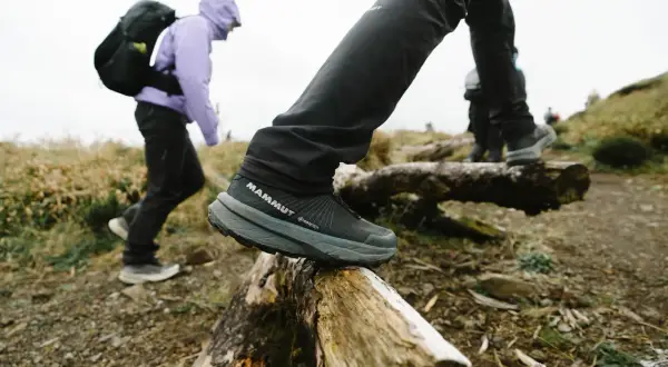 Wybierasz jakie buty w góry latem? Te z membraną Gore-Tex zapewnią komfort i suchość podczas wędrówki po kamieniach i pniach.
