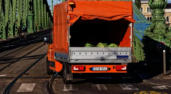 Spedycja na busa: Wybierz mądrze, zarabiaj i omiń pułapki!