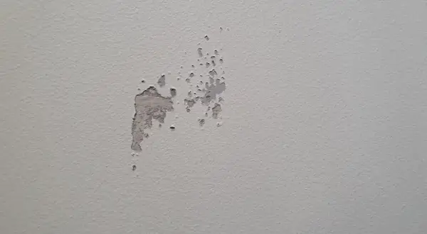Sprucken färg visar spackel syns efter målning. En fläck på en ljusgrå vägg där färgen flagnar och spacklet syns igenom.