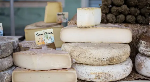 En härlig samling fransk ost, inklusive en "Tomme Chèvre", staplade på ett bord.