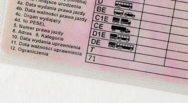 Fragment polskiego prawa jazdy z widocznymi polami: "Ograniczenia" i kodem "71", wskazującym na specyficzne **prawo jazdy ograniczenia 71**.