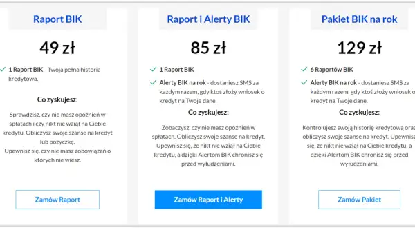 Pobierz raport BIK krok po kroku: Darmowy czy płatny?