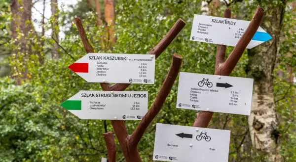 Rozdroże szlaków w Borach Tucholskich. Wskazówki kierują na Szlak Kaszubski, Szlak Brdy i Szlak Stuigi Siedmiu Jezior, zachęcając do odkrywania piękna regionu.