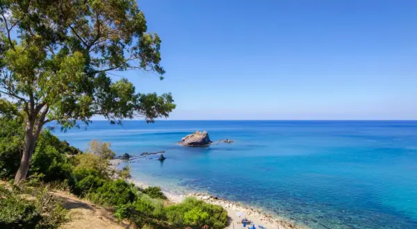 Piękna plaża w Pafos, Grecja, z turkusową wodą, skalistą wysepką i drzewem oliwnym.