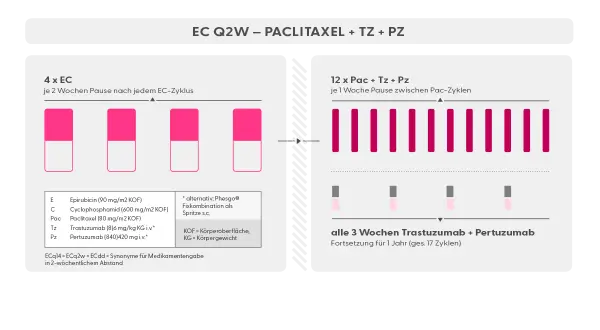 Schema für adjuvante Therapie bei Brustkrebs: 4x EC, dann 12x Paclitaxel mit Trastuzumab/Pertuzumab.