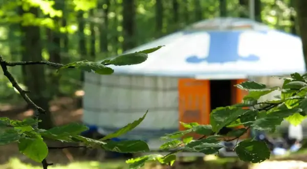 En rund yurt med orange dörr står i en skog. Nyrups Naturhotell erbjuder en unik vistelse bland träden.