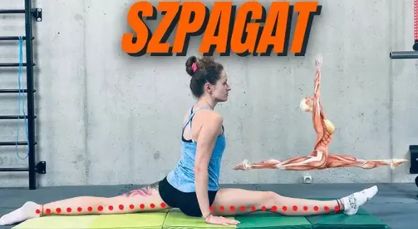 Jak zrobić szpagat? Realistyczny plan (3-12 miesięcy) i ćwiczenia