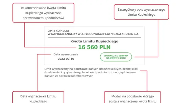 Wartości niematerialne i prawne od jakiej kwoty? Sprawdź limity!