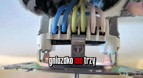 Ściana z lameli DIY: Montaż krok po kroku oszczędź na fachowcu!