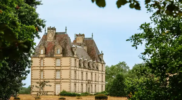 Un majestueux chateau abandonné se dresse au milieu d'une prairie dorée, entouré d'arbres verdoyants.