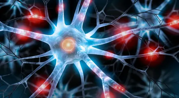 Nervceller med glödande kopplingar, som symboliserar hur serotonin kan påverka hjärnan och ge biverkningar.