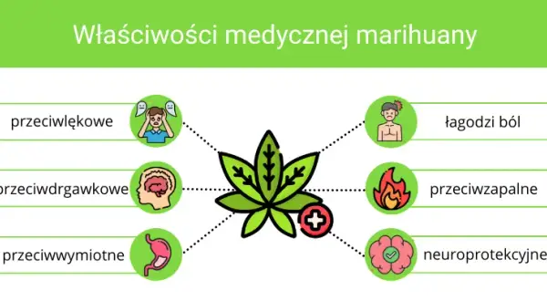 THC: Jak działa, co czujesz i czy medyczna marihuana jest dla Ciebie?