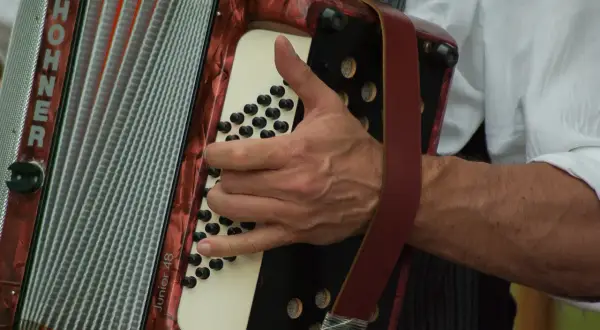Dłoń gra na akordeonie HOHNER Junior 48. Czas nauki gry na akordeonie zależy od zaangażowania.