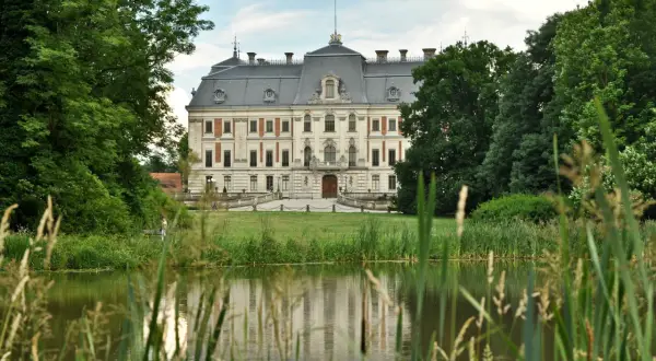 Majestatyczny zamek w Pszczynie, otoczony zielenią, odbija się w spokojnej tafli stawu.