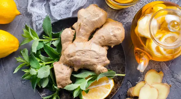 Zenzero, limone e menta per una tisana benefica. Scopri le zenzero proprietà per il benessere.