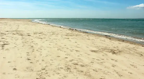 Plaża Ulinia wita piaskiem usianym śladami stóp i spokojnym morzem.