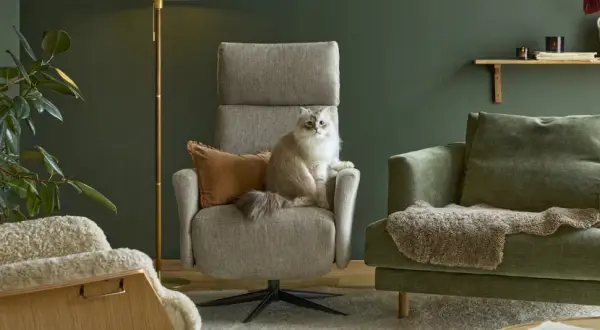 En fluffig katt sitter i en grå fåtölj. Bredvid står en grön soffa med fårskinn. En fåtölj i ek syns till vänster.