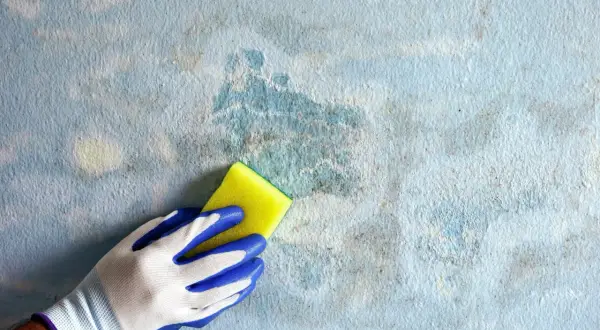 Mano con guanto blu e bianco pulisce una parete con pittura tamponato grigio e macchie di umidità.
