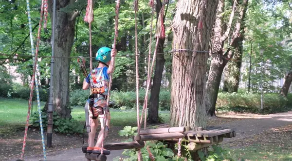 Park Linowy Bluszcz Międzyzdroje: Cennik, Trasy, Godziny. Planuj!
