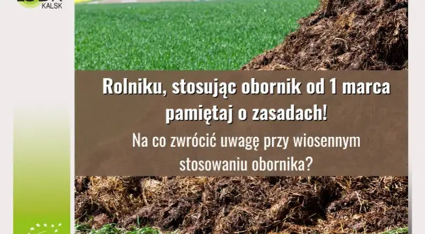 Kupa obornika na tle zielonej trawy i tekstu o jego stosowaniu.