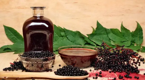 Wino z czarnego bzu przepis: butelka ciemnego płynu, miseczki z owocami i liśćmi czarnego bzu, gotowe do przygotowania domowego trunku.