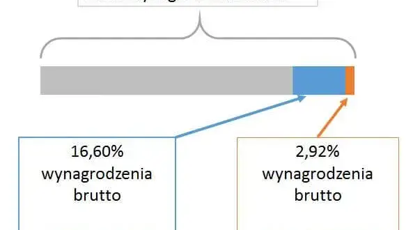 OFE czy ZUS? Decyzja o emeryturze: wybierz mądrze i świadomie