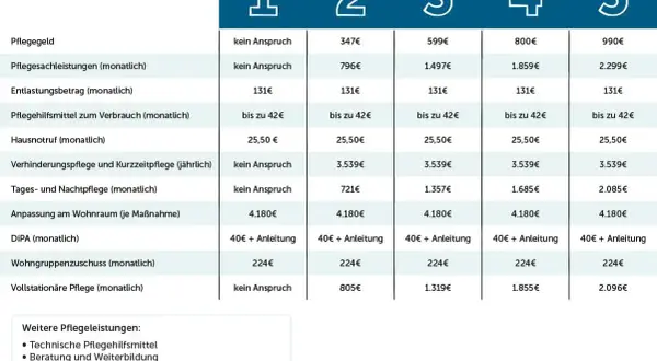 Leistungen der Pflegeversicherung: Tabelle zeigt monatliche und jährliche Kosten für verschiedene Pflegegrade, die durch eine Pflegeversicherung reform abgedeckt werden.