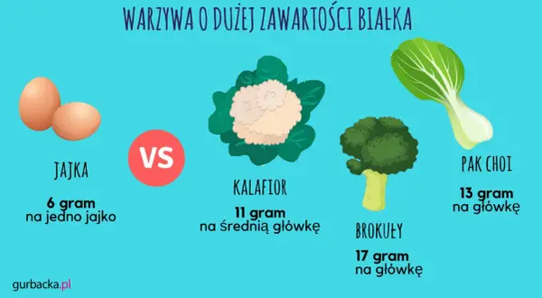 Warzywa o dużej zawartości białka: jajka (6g/szt.), kalafior (11g/główkę), brokuły (17g/główkę) i pak choi (13g/główkę).