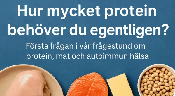 Fakta om protein: kyckling, lax, ost och kikärtor. Hur mycket protein behöver du?